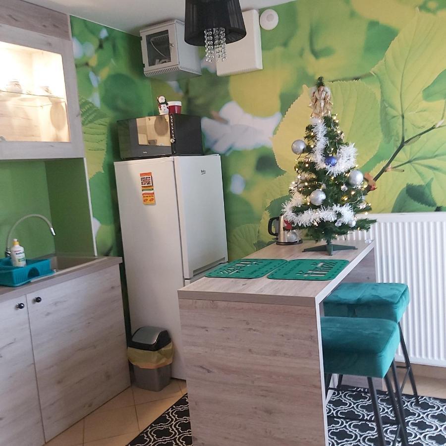 Nadmorskie Apartamenty อุสตกา ภายนอก รูปภาพ
